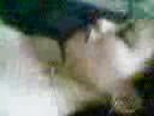 ลูกสาวให้พ่อเย็ดหีโก ...